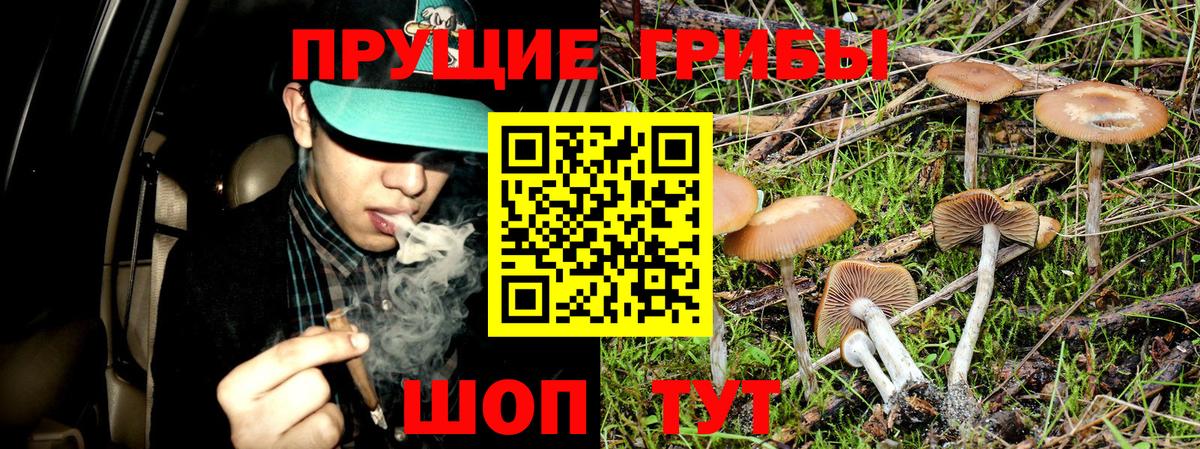 Новый Уренгой  Псилоцибиновые грибы мухоморы  Вход с VPN  Галлюциногенные грибы Psilocybe 