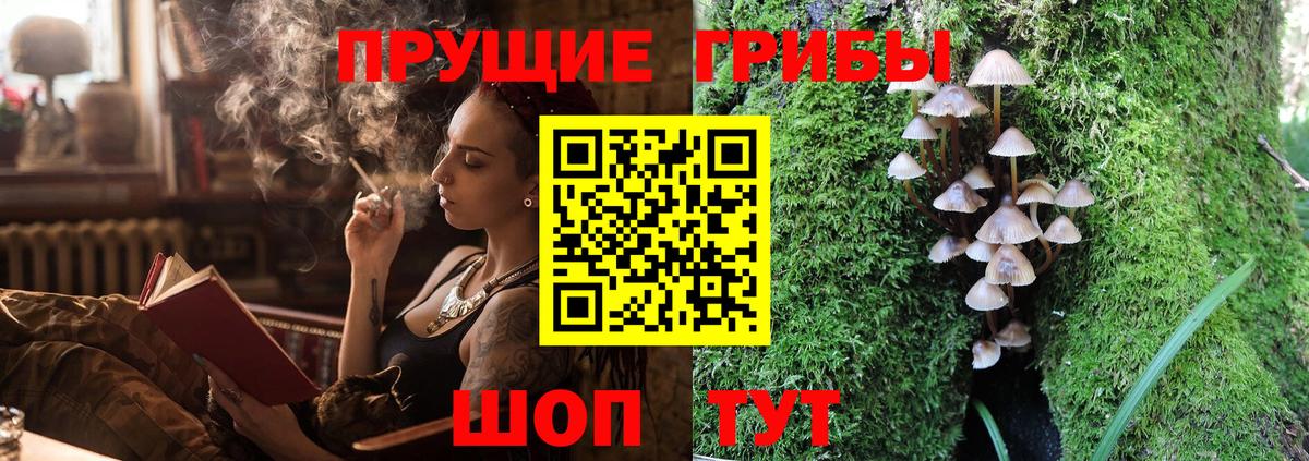 Галлюциногенные грибы Psilocybine cubensis Новый Уренгой