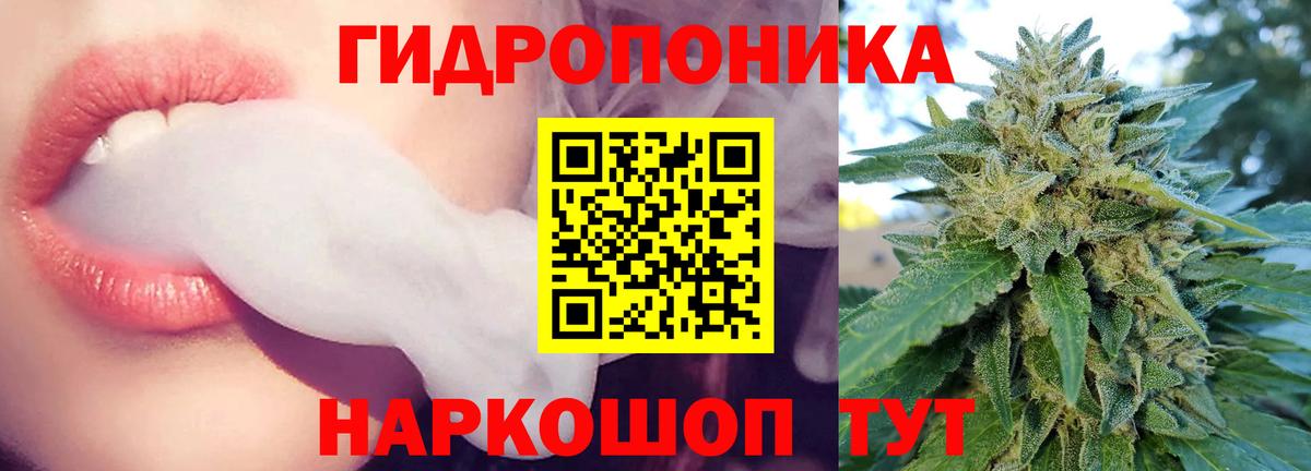 Бошки марихуана план Новый Уренгой
